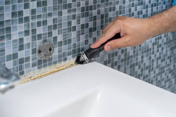 Mold Removal Process in Mancelona, MI